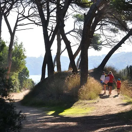 Le Palm, Climatise Pour 4 Personnes Avec Vue Et Piscine Sur Le Port D'hyeres Apartment Hyeres